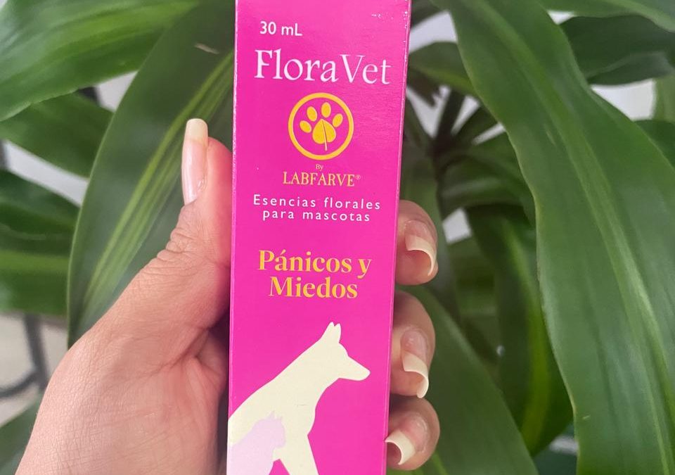 FloraVet – El rescate natural para mascotas con ansiedad, estrés y pánico